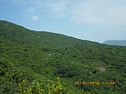 Thumbnail of pic_Wai_162.jpg