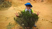 Thumbnail of pic_Billy_Lau_076.jpg