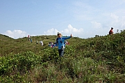 Thumbnail of pic_KL_Sin_012.jpg