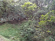 Thumbnail of pic_CL_Yip_046.jpg