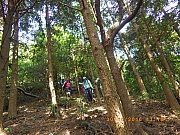 Thumbnail of pic_Wai_055.jpg