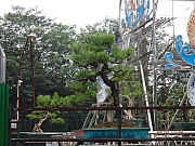 Thumbnail of pic_Thomas_Leung_278.jpg
