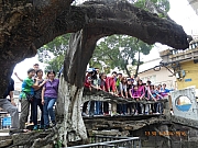 Thumbnail of pic_Wai_256.jpg