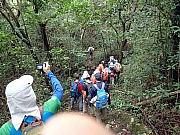 Thumbnail of PB270031.JPG