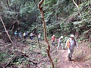 Thumbnail of pic_Thomas_Leung_049.jpg