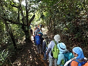 Thumbnail of pic_Thomas_Leung_108.jpg
