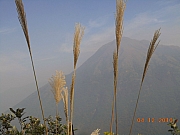Thumbnail of pic_Sam_Ho_102.JPG