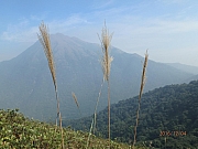Thumbnail of pic_Thomas_Leung_323.jpg