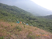 Thumbnail of pic_Wai_029.jpg