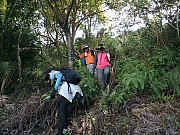 Thumbnail of PC110002.JPG