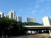 Thumbnail of PC180003.JPG