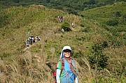 Thumbnail of pic_KL_Sin_024.jpg