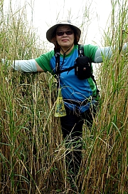 Thumbnail of pic_KL_Sin_061.jpg