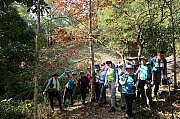 Thumbnail of pic_Tony_Tse_045.jpg