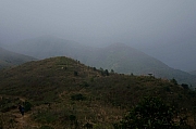 Thumbnail of pic_KL_Sin_037.jpg