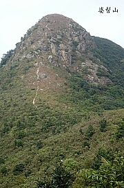 Thumbnail of pic_KL_Sin_046.jpg