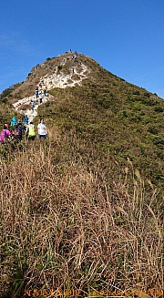 Thumbnail of pic_Billy_Lau_110.jpg