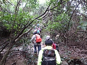 Thumbnail of pic_Thomas_Leung_037.jpg
