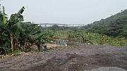 Thumbnail of pic_KC_Leung_144.jpg