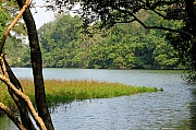 Thumbnail of pic_KL_Sin_009.jpg