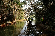 Thumbnail of pic_Tony_Tse_046.jpg