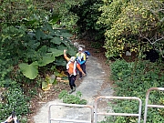 Thumbnail of P2190080.JPG