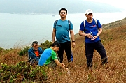 Thumbnail of pic_KL_Sin_044.jpg