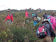 Thumbnail of pic_Thomas_Leung_096.jpg