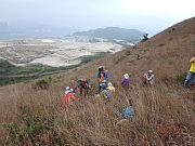 Thumbnail of pic_Thomas_Leung_141.jpg