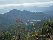 Thumbnail of pic_Wai_016.jpg