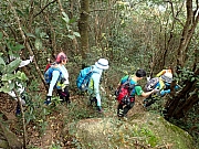 Thumbnail of P3050104.JPG