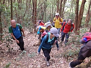 Thumbnail of pic_Thomas_Leung_041.jpg