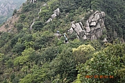 Thumbnail of pic_Tony_Tse_036.jpg