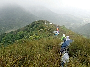Thumbnail of P3190010.JPG