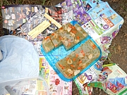 Thumbnail of pic_Billy_Wong_011.JPG