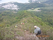 Thumbnail of pic_Wai_096.jpg
