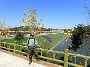 Thumbnail of P4020259.JPG