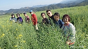 Thumbnail of pic_KC_Leung_182.jpg
