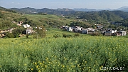 Thumbnail of pic_KC_Leung_203.jpg