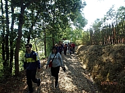 Thumbnail of pic_Thomas_Leung_195.jpg
