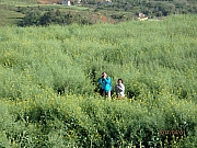 Thumbnail of pic_Thomas_Leung_205.jpg