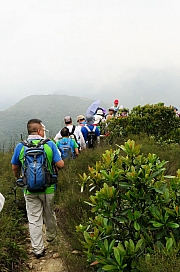 Thumbnail of pic_KL_Sin_029.jpg