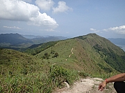 Thumbnail of P4160094.JPG