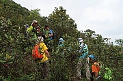 Thumbnail of pic_Tony_Tse_008.jpg