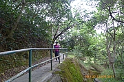 Thumbnail of pic_Apple_Lee_343.jpg