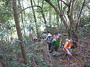 Thumbnail of pic_Wai_045.jpg