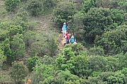 Thumbnail of pic_Tony_Tse_049.jpg