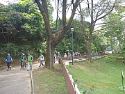 Thumbnail of pic_Wai_132.jpg