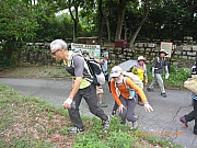 Thumbnail of pic_Wai_007.jpg