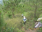 Thumbnail of pic_Wai_022.jpg